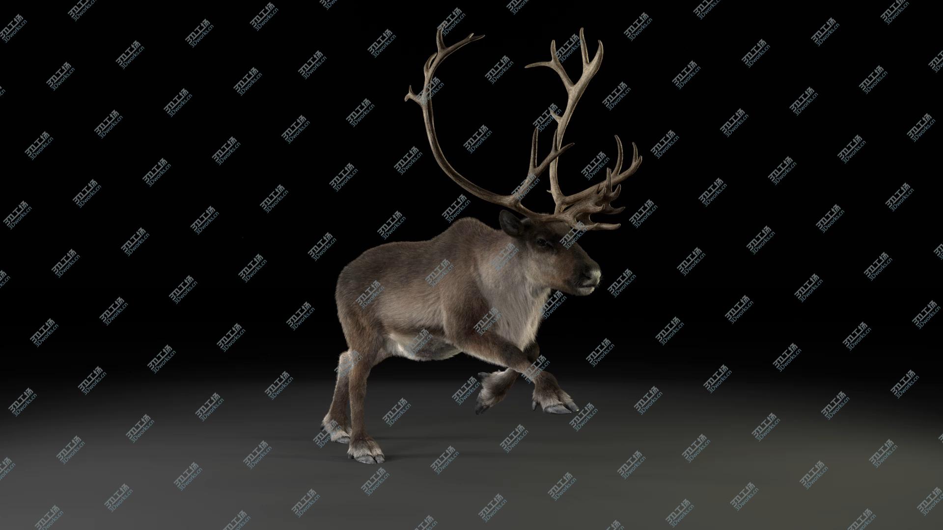 images/goods_img/2021040163/3D Male ReinDeer model/4.jpg